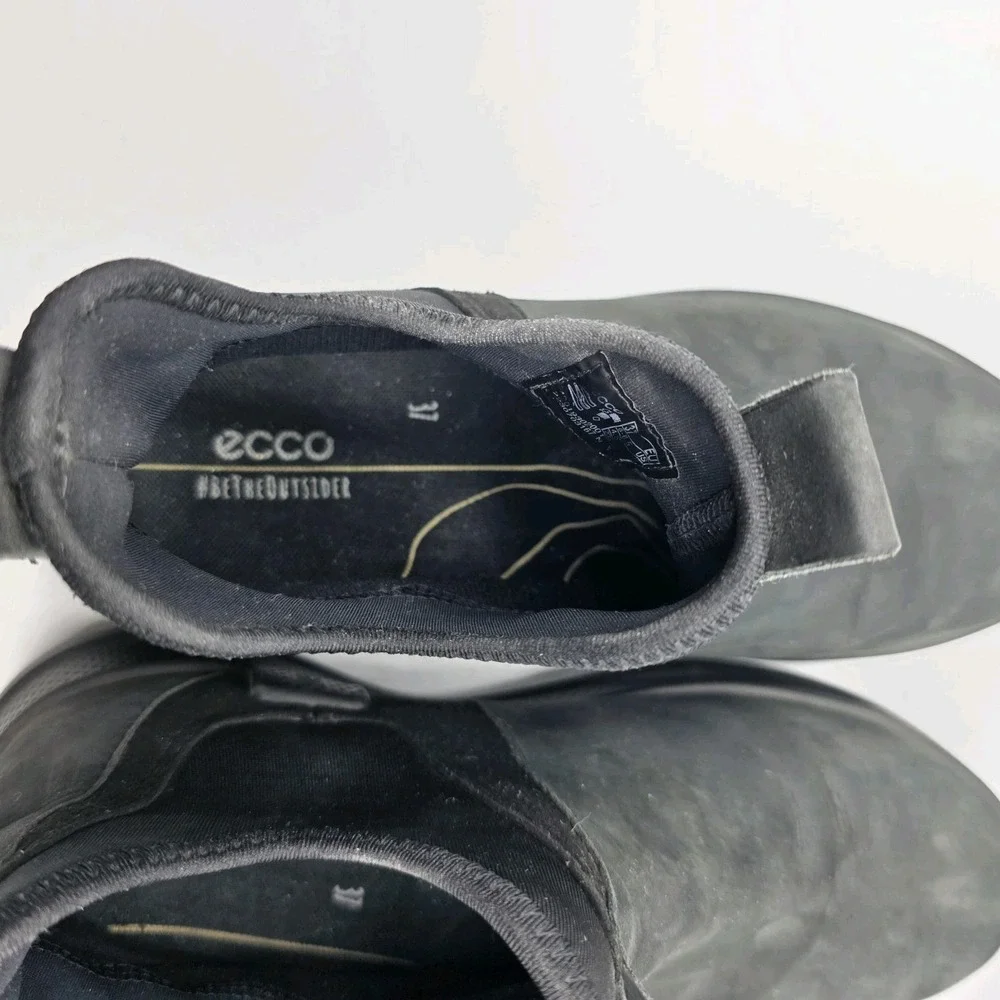 Ecco colors may